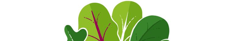 supergreens-wide leaf